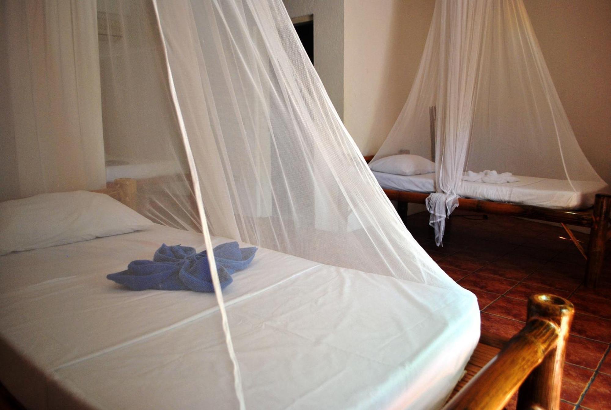 The Blue Orchid Resort Моалбоал Стая снимка